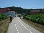 DSC02151.jpg
